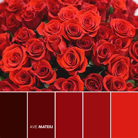 14 Valentine's Day Color Palettes - Ave Mateiu