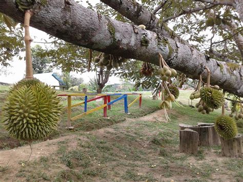 KEBON KITA - All You Need to Know BEFORE You Go (with Photos) - Tripadvisor