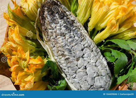 Huitlacoche Corn Edible Fungus, Traditional Mexican Dish Royalty-Free ...