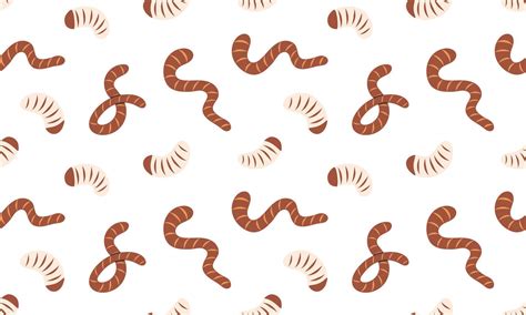 Image result for Maggot Fly Pattern