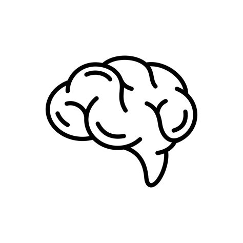 brain outline icon 13977504 Vector Art at Vecteezy