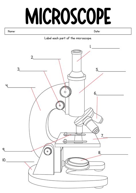 Microscope Labeling Worksheet