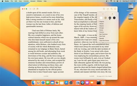 如何在 iPad 和 iPhone 上阅读书籍时使用主题 - Wwtyrd.com