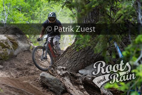 Cheston BAILEY 324 - Roots & Rain