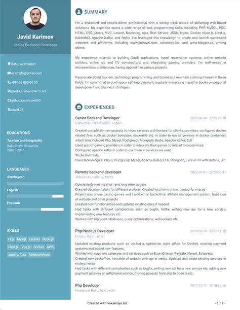 Curriculum vitae CV Examples 的图像结果