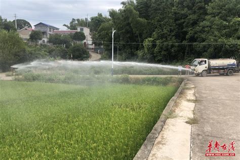 广东：雄州街道黎口村 积极引水灌溉 为农田“解渴”