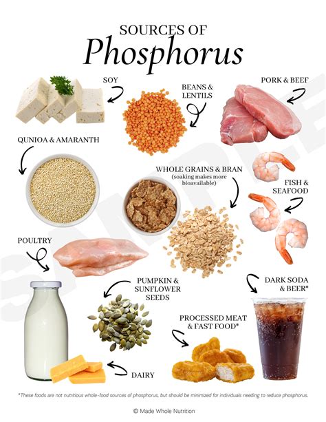 Phosphorus Rich Foods