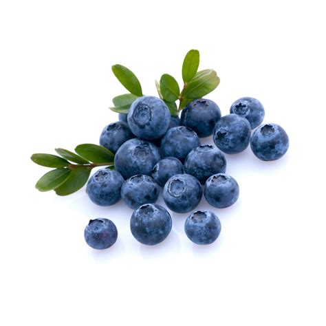 Buy Fresh Blueberries (नीलबदरी) Online – Price & Health Benefits | Pluckk