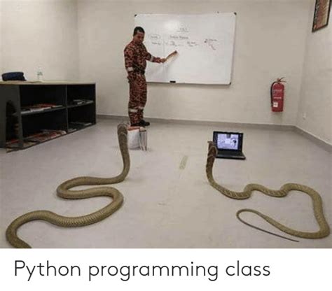 Image result for IntelliJ Basic Python Coding