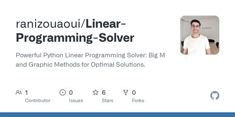 Python Optimsation Linear Programming Solver 的图像结果