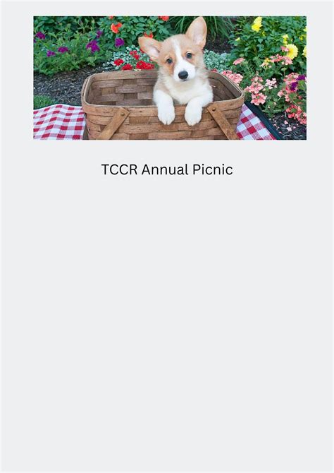 Annual Picnic and Kayaking Fundraiser, Water Works Family Aquatic ...