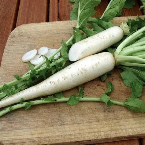 VINTI White Radish (Mooli) Vegetable (मूली के बीज) Seed Price in India ...
