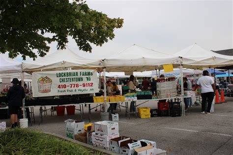 Chicken Scratch: Art | The Review