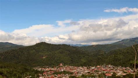 Tour del café por Villa Rica, Villa Rica - Central de Reservas