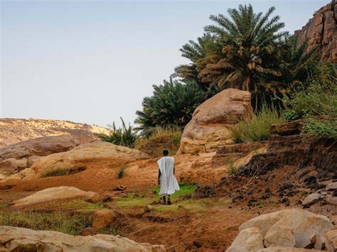 The Last Crocodiles in The Sahara Desert