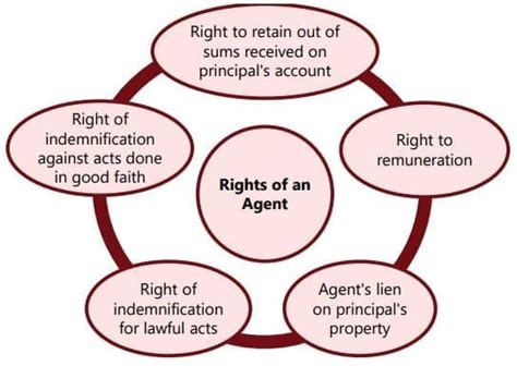 Unit 9: Agency Chapter Notes - Business Laws for CA Foundation PDF Download