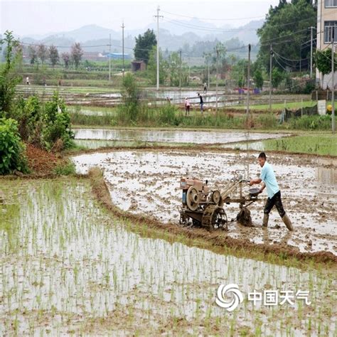 人勤春来早，春耕备耕忙 高质量春耕保障粮食安全_生产_农业_农田