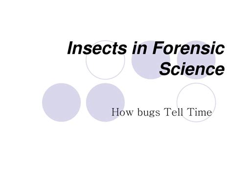 Image result for Forensic Science Insect