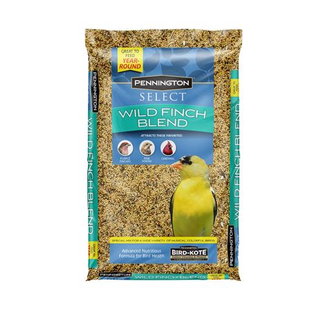 Everything You Need To Know About Buying Finch Bird Seed Bulk In 2023 ...