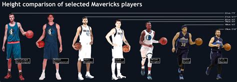 Nba Basketball Average Height at Chris Erickson blog