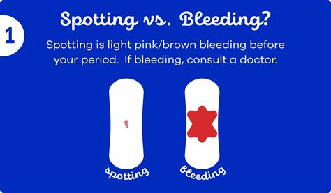 Bleeding After Ovulation Before Period