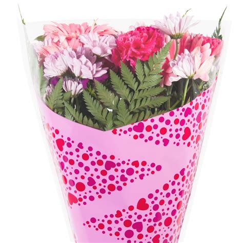 Enamor | A-ROO Company