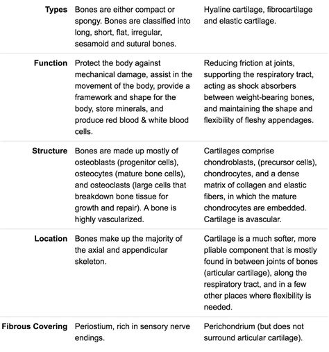 differentiate between bone and cartilage with respect to structure ...