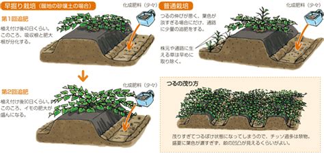 Image result for Learning Task Design