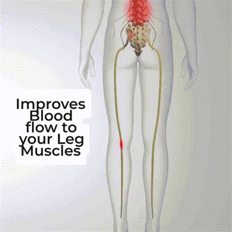 Yoga Stretching Belt – chronosee