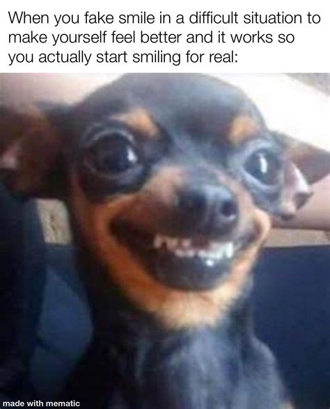Fake Smile Meme