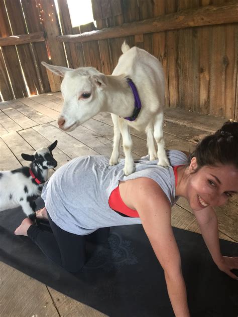 Goat Yoga — Yoga on the Farm