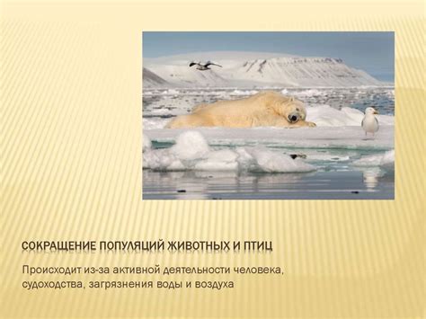 Экологические проблемы в Арктике - презентация онлайн