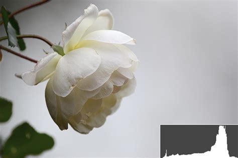 Reading a Histogram in Photoshop