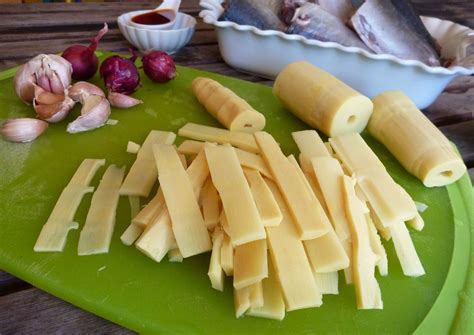 Bamboo shoot - Phyllostachys - Health Benefits