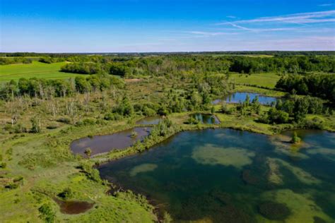 Swamp Aerial View 的图像结果