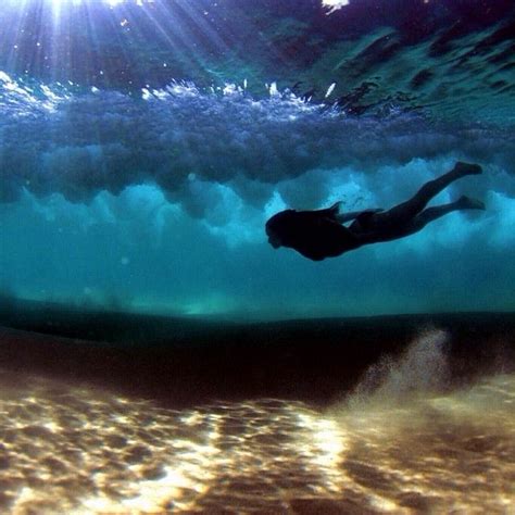 Swimming in the Ocean 的图像结果
