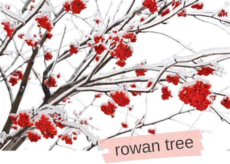 700+ Unique Boy Names that are Actually Cool in 2024 (2026)