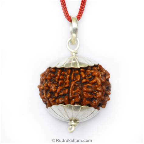 Collector Pendant – Rudraksham