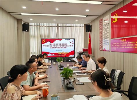 漳州外贸公司党委召开主题教育专题民主生活会