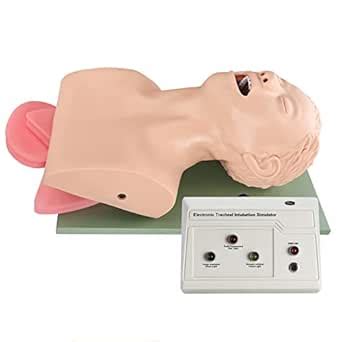 HEALTHIBLE Intubation Human Model Simulator- Endotracheal Intubation ...