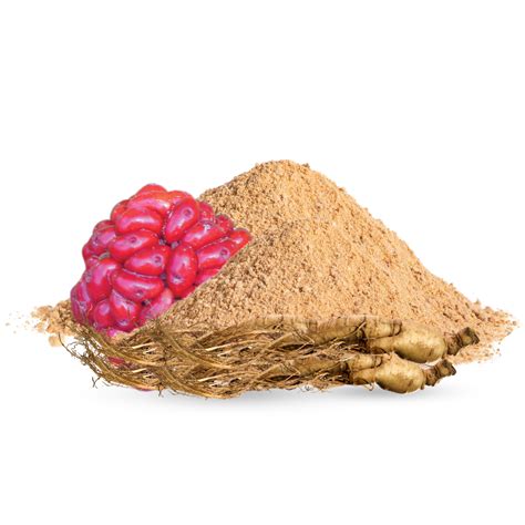 Alpha Booster Testo | Natural T-Booster – WishNew Wellness