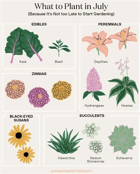July Gardening: 5 Great Picks to Add to Your Garden | Plant guides ...