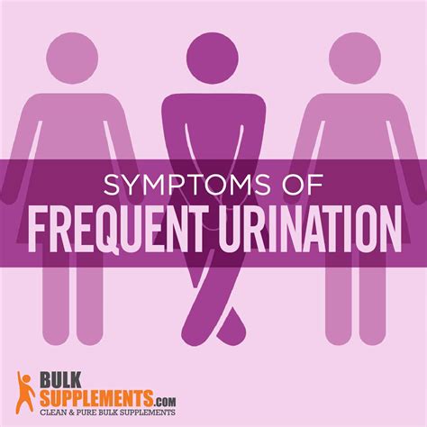 Frequent Urination: Symptoms, Causes, Treatment