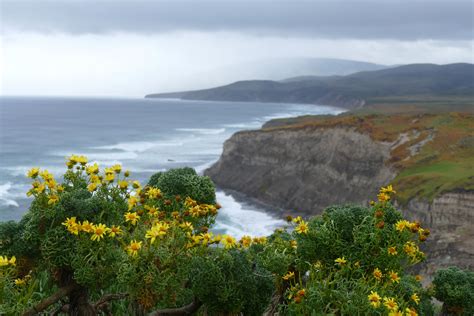 Image result for Point Conception Model