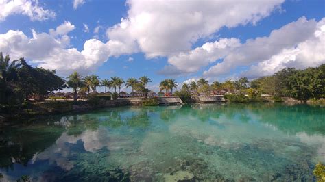 Chankanaab National Park in Cozumel, Mexico | affordable adventures for ...