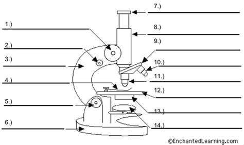 Image result for Course Focus Microscope Function