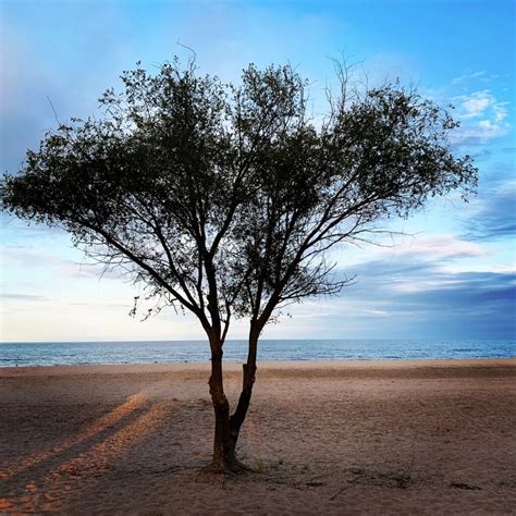 Bilt Rent Day: What It Is, Why It Is Valuable & Current Month's Offer