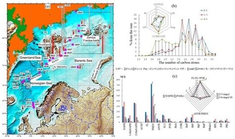 Features of the Hydrocarbon Distribution in the Bottom Sediments of the ...