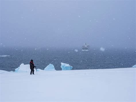Antarctica Cruise Deals - Vantage Explorations - Vantage Explorations