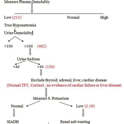 Hypernatremia Algorithm 的图像结果